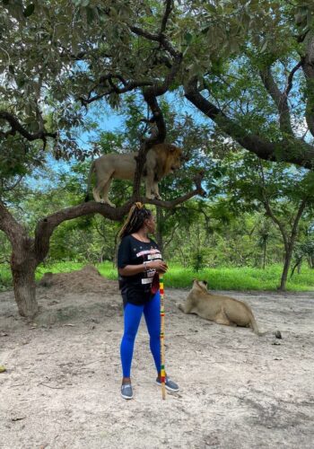 how walking with lions helped me walk through cancer