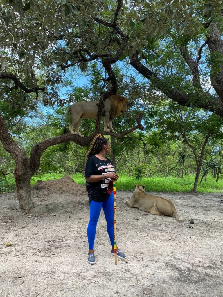 how walking with lions helped me walk through cancer