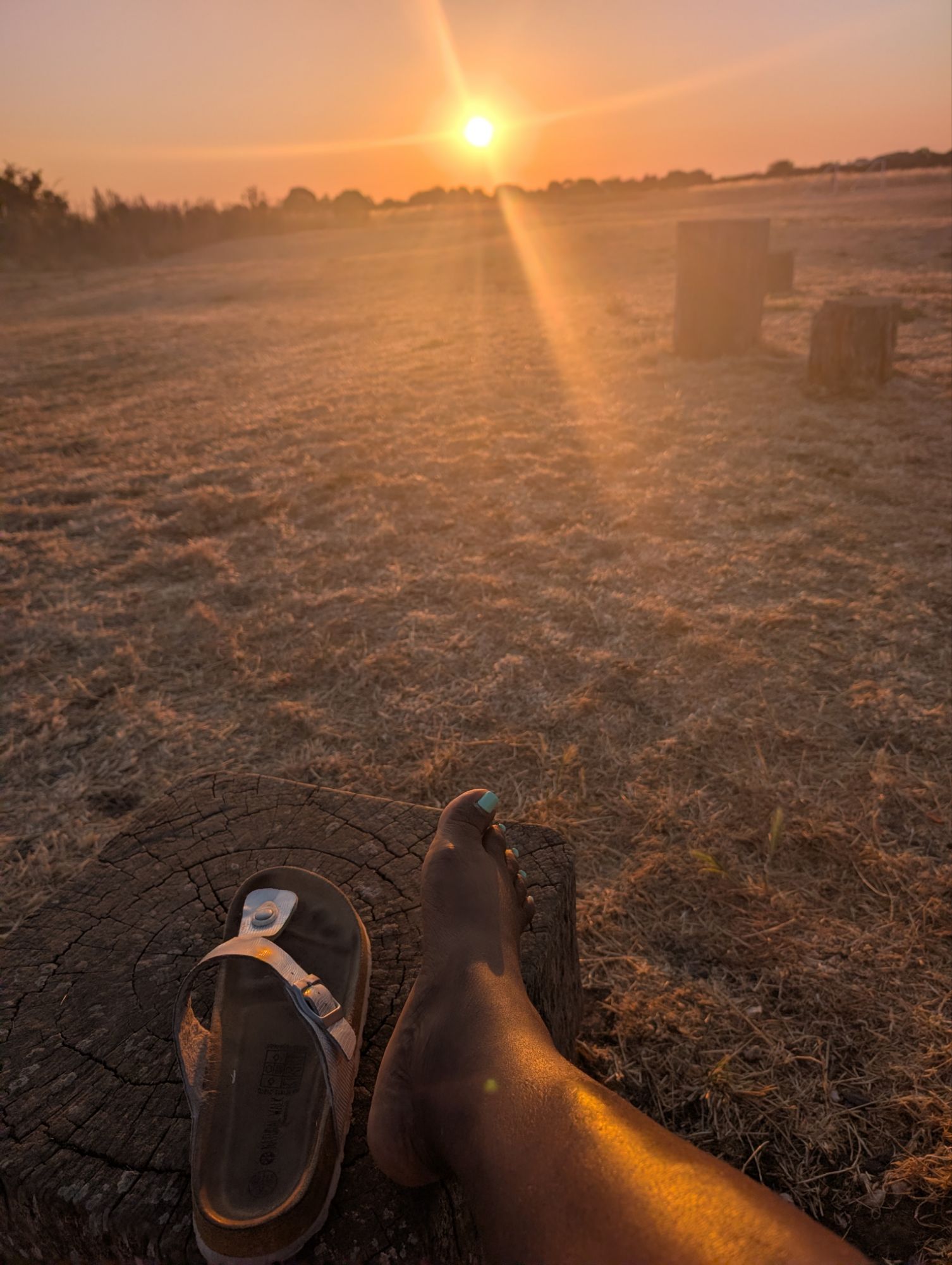 Me, forest-bathing in the sun rise while drafting an article